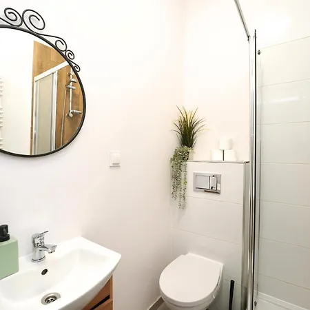 Mmrent Superstar Проживание в семье